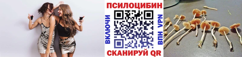 хочу наркоту  мориарти формула  Галлюциногенные грибы мухоморы  Конаково 